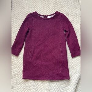 Old Navy Girls 3T Fleece Lined Dress